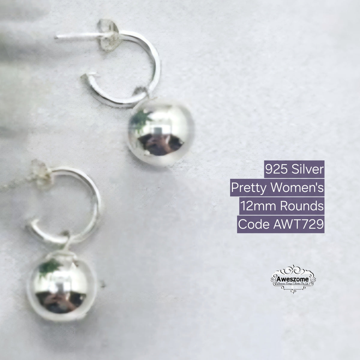 Silver Earrings AWT729