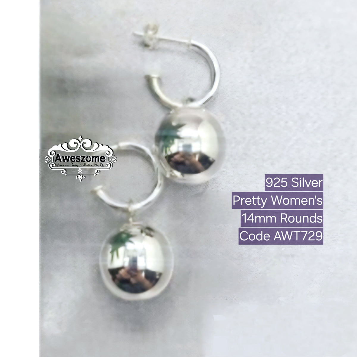 Silver Earrings AWT729