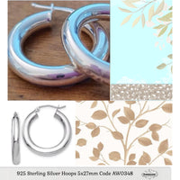 Silver Earrings AW0348