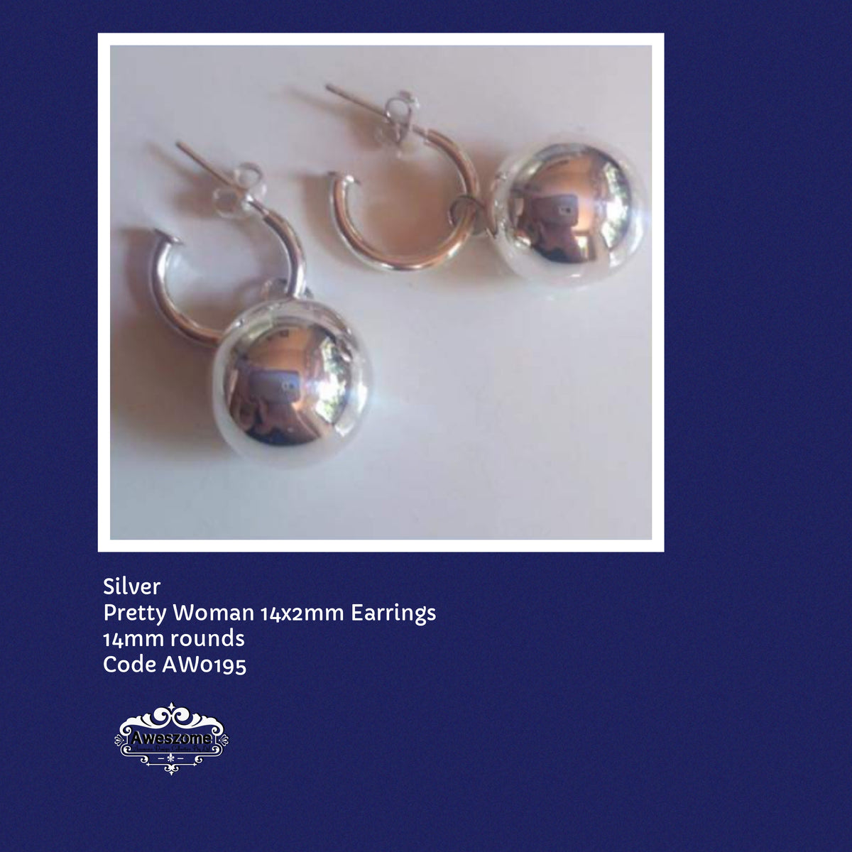 Silver Earrings AW0195