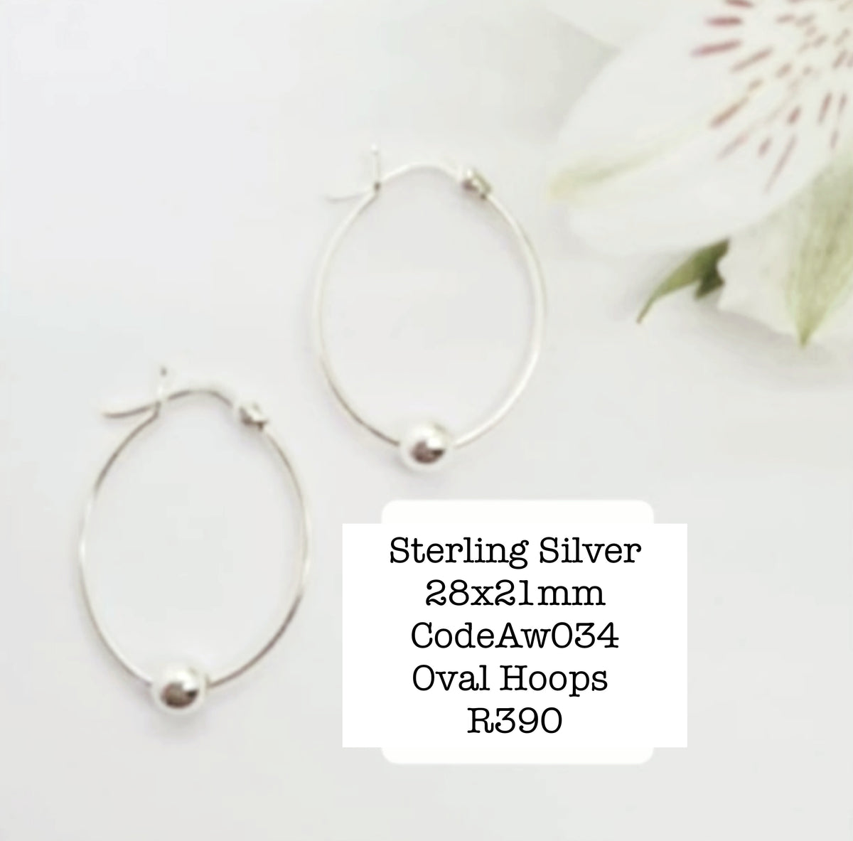 Silver Earrings AW0340