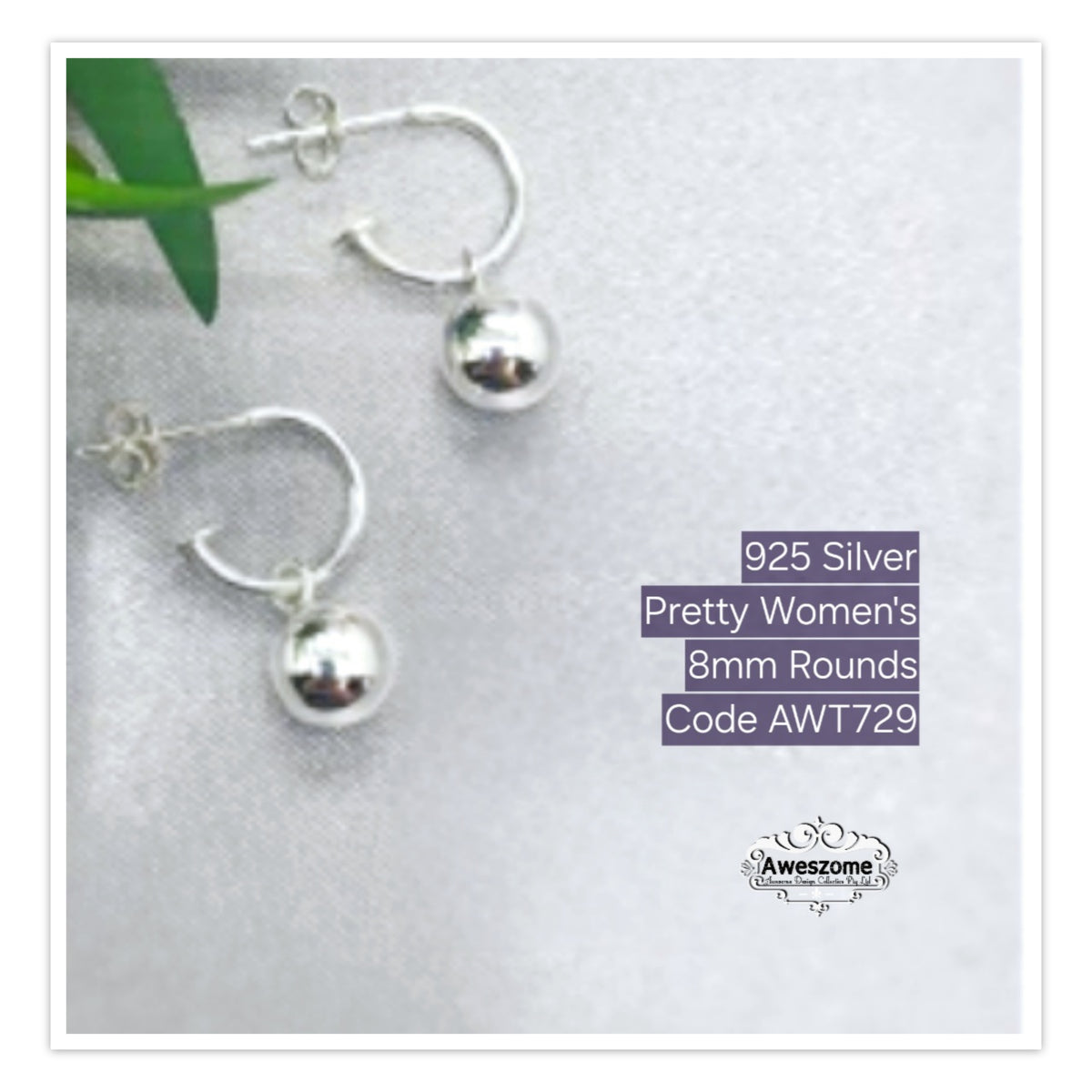 Silver Earrings AWT729