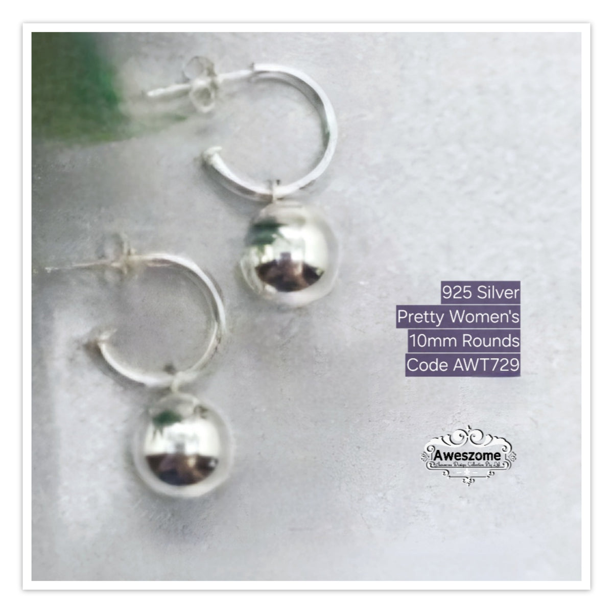 Silver Earrings AWT729