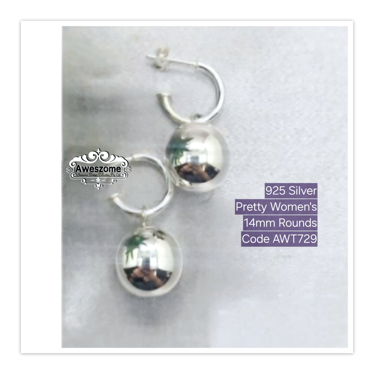 Silver Earrings AWT729