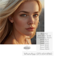 Silver Earrings AW0355