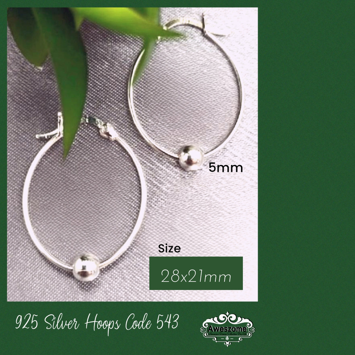 Silver Earrings AWE543