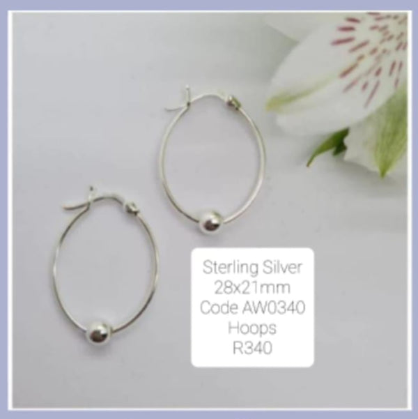 Silver Earrings AW0340