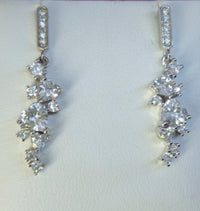 Silver Earrings AW501