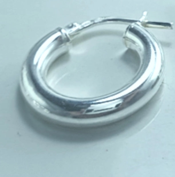Silver Earrings AW0345