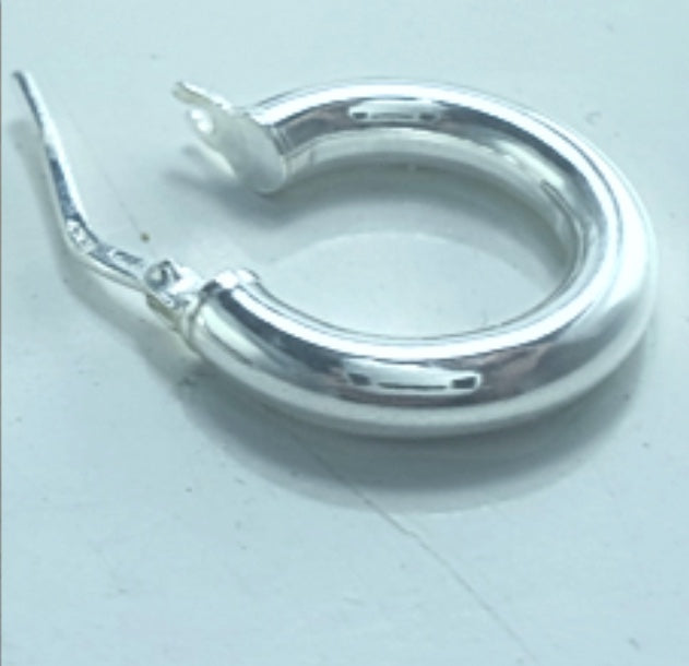 Silver Earrings AW0345