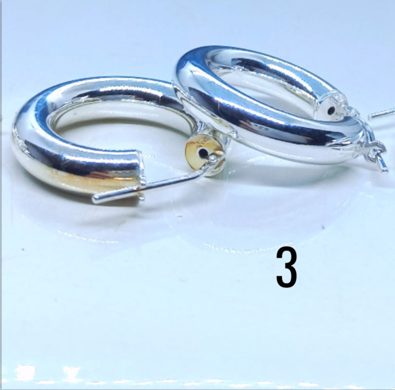 Silver Earrings AW0347