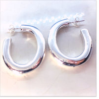 Silver Earrings AW0351